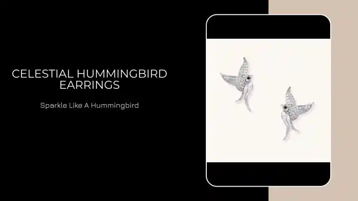 Celestial Hummingbird Earrings by@Outfy